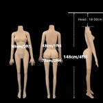 148cm/4'8" slim build