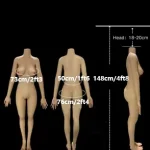 148/4ft8 medium build