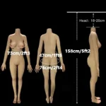 158cm/5ft2 medium build [ + $40] +$40.00