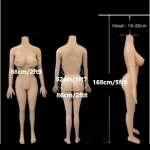 158cm/5ft2 Plump [ + $50 ] +$50.00