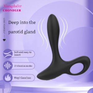10-frequency vibrating prostate massager, waterproof, for foreplay and multiple positions, suitable for both men and women.